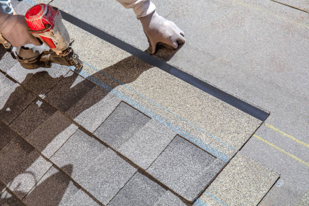 Best Roof Gutter Cleaning  in Mount Shasta, CA