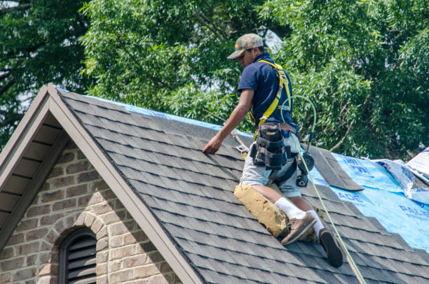 Best New Roof Installation  in Mount Shasta, CA